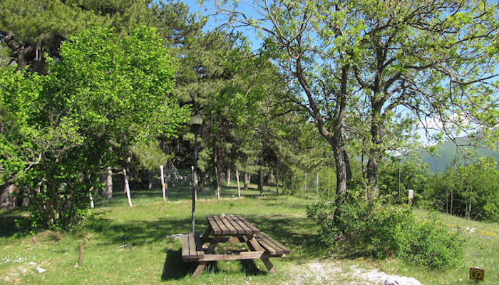 Campeggio Orsa Minore - Piazzole delle querce